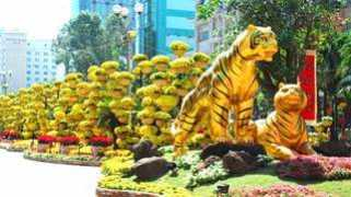 Nguyenh