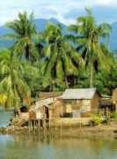 Nhala