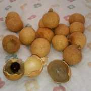 Nhan