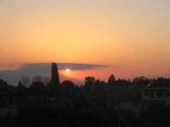 Nicea