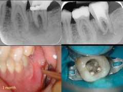 dentalindia.com Niceh