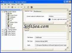 softsea.com Nicera