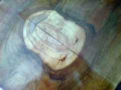 antyki54.bloog.pl Niciak