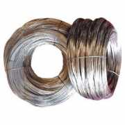 topnews.in Nickel