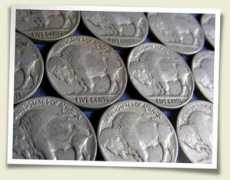 buffaloreincarnations.com Nickels