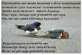 ezberim.biz Nickler