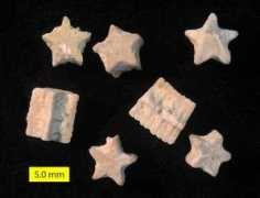 woostergeologists.scotblogs.wooster.edu Nicoleti