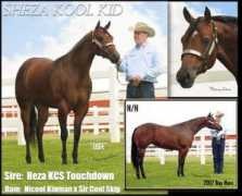 bertonqh.com Nicool