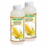 Nicosh