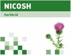 Nicosh
