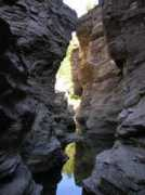 auchatbleu.fr Nicouleau