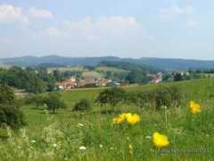 panoramio.com Nieder