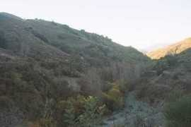 la-alpujarra.org Nieles