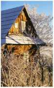 wgorach.art.pl Niemc