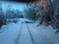 Nieva