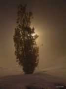 imagewa.com Nightly