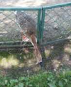 parkers2005.narod.ru Nikak