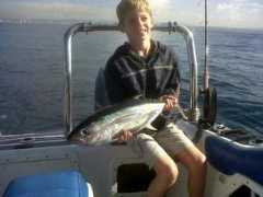 fishipedia.com Nikao
