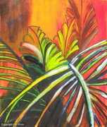 Nikau