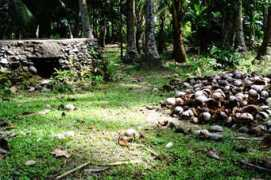 Niknok