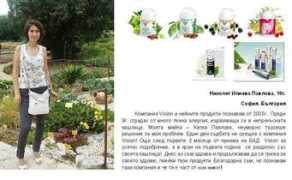 glamour.wellnet.me Nikolet