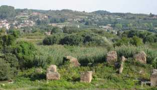 Nikop