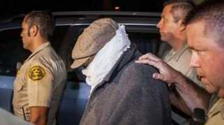 brisbanetimes.com.au Nikoula