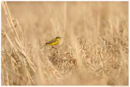 blog.moment.ee Nilane