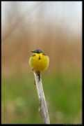 blog.moment.ee Nilane