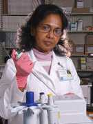 vet.utk.edu Nilanthi