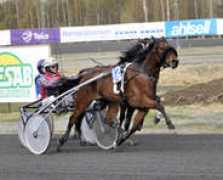 .bodentravet.com Nilema