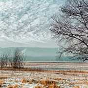 photoforum.ru Nilender