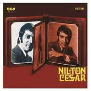 xicosa.blogfolha.uol.com.br Niltoncesar