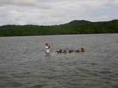 seagrassnet.org Nimpal
