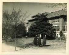 mindenmemories.org Ninete