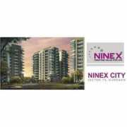 thisnext.com Ninex