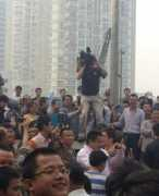 ministryoftofu.com Ningbo