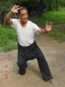 yizongbagua.com Ningshen