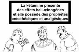 thextrolls.free.fr Ninija