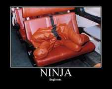 meh.ro Ninjas