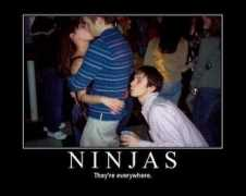 freerangeinternational.com Ninjas