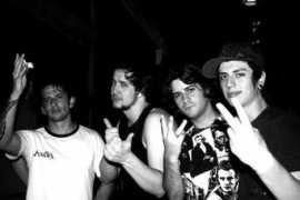 Niper