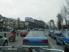 Niqi