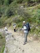 wayn.com Niraula