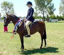 cyberhorse.net.au Nirelle