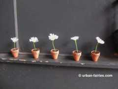 urban-fairies.com Nirja