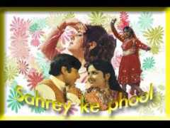 wn.com Nishoo