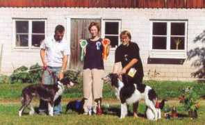 windhund-fachverlag.de Nispu