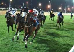 turfonline.com Nitak