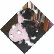 bunbun.ne.jp Nitali